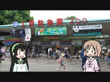 動画の中でも旅がしたい！最終回上野動物園