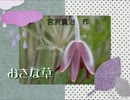 宮沢賢治　作「おきな草」