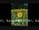 【実況】バイオハザード５ マーセナリーズ【マルチプレイ】第６回