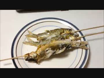 にゃんたの釣り動画part3 鮎の友釣り　in巴川.mp4