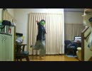 【カーチェス】　dddawn!!　踊ってみた　【蛙鳴蝉噪】