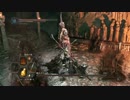 【初見実況】ダークソウル２～DLC編～第１１回【手汗と深い底の王の冠】