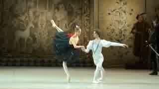 Swan Lake - Black Swan - Mikhailovsky Ballet 2012