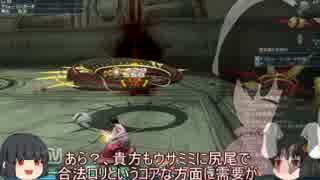 【ゆっくり実況】姫様がPSO2を説明しながら適当プレイPART22