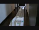 自作ミニ四駆コースで走らせてみた。
