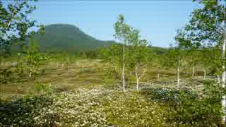 初夏の北海道を旅してみた　第８回「裏と幻と看板と」