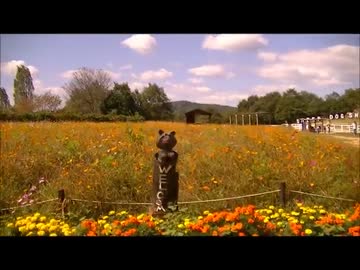 【車載動画】岡山なのにドイツ気分【第６弾】