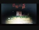 【初投稿】ヘタレ二人が恐怖の森やってみた【実況】Part.1