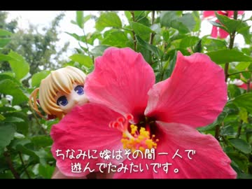 ニート、旅をする【61日目】