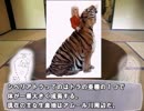 やる夫で学ぶ巨大生物３【ライオンvsトラ】