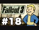 【Fallout3】危険なお散歩【実況】#18