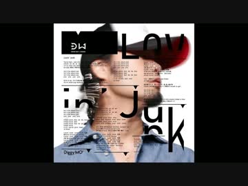 Diggy-MO' Lovin' Junk