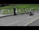逃げる カラス !! 　  逃げる カラス !!　　逃げる からす !!