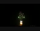 2014.10.4 （茨城）土浦花火　ほたるの光 （優秀賞）