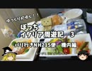 【ゆっくり】イタリア周遊記３　パリ行きNH215便　機内編