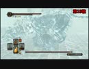ダークソウル2を初見実況プレイしてみた白王の冠編【Part8】