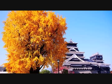 地元佐渡島から日本一周してくる パート43(長崎〜佐賀〜熊本)