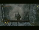 究極の脳筋を目指してRETURNS：ダークソウル２実況プレイpart8