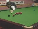 スヌーカー 147[Ronnie O'Sullivan]