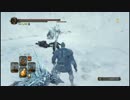 ダークソウル2を初見実況プレイしてみた白王の冠編【Part9】