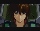 思いだけでも...力だけでも(改良版)【ガンダムSEED DESTINY】