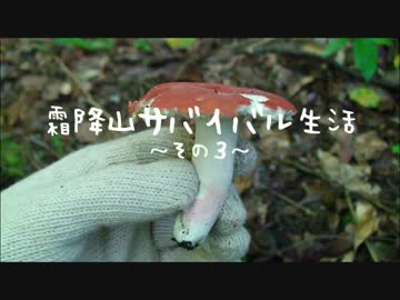 霜降山サバイバル生活～その３～