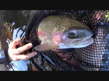 ヤマメとイワナが食べたくなって・・・2014最終日編