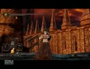 【ダークソウル２】続・太陽でがんばります  １４【実況】