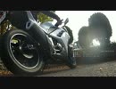 Ninja250 Ninja1000排気音比較