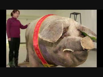 世界の巨大な動物たち