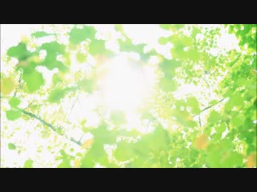 光のしずく　【 プラス思考になれる音楽】