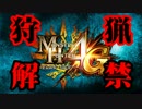 【MH4G】忙しい人のための開封動画