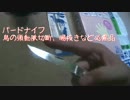 【リアル狩猟】新米猟師のハンター生活part2【散弾銃】