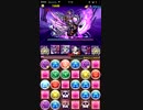 【パズドラ】 ベルゼブブ降臨！ 【パンドラ】