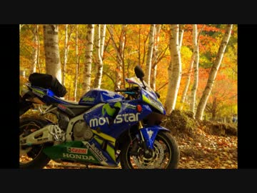 【ツーリング】紅葉色づく奥日光へ