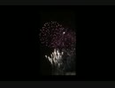 光が丘地区ふるさとまつり