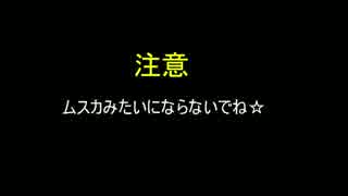 SAO14.5話をあのアニメみたいにしてみた