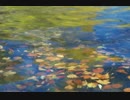 水の湧く場所
