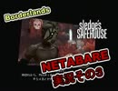 【Borderlands】ボーダーランズ　ネタバレ実況その３