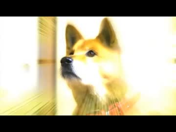 新・声優の本気vol.1