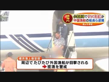 小笠原沖でサンゴ密漁か…支那人漁船の船長ら逮捕(10/06)