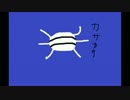 6本足で歩く蜘蛛のような謎の虫.mp1919810