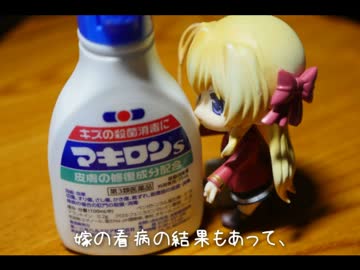 ニート、旅をする【64＆65日目】