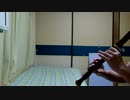 大図書館の羊飼いOP『On my Sheep』をリコーダーで吹いてみた