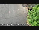 【日記】おれにっき～第二話：俺とひとりぼっち～