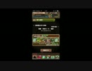【パズドラ】機械竜　氷砕の蹄　に突撃！【ＬF光パール】