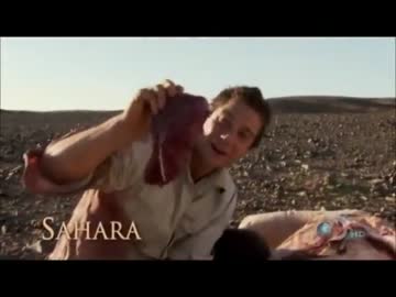 Man vs Wild S05E03 - Bears Essentials(1)