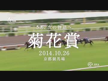 人気の「マンハッタンカフェ 菊花賞」動画 5本 - ニコニコ動画