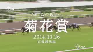 人気の「マンハッタンカフェ 菊花賞」動画 5本 - ニコニコ動画