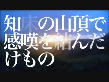 あの日、僕は旅にでた。北海道編。
